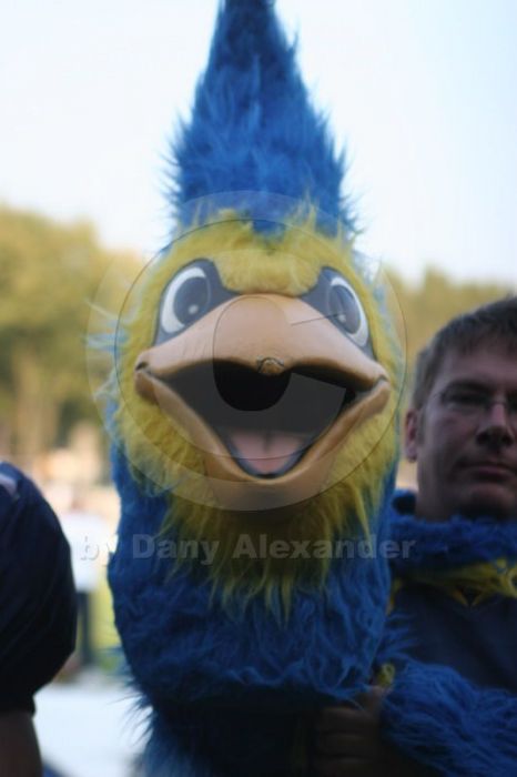 Klicken für Bild in voller Größe