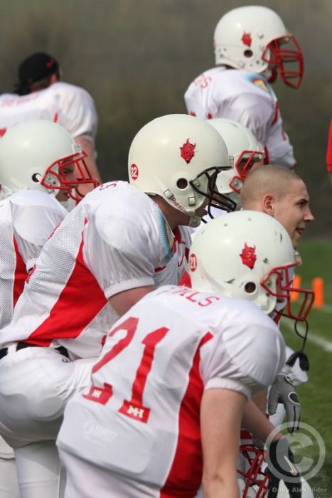 Klicken für Bild in voller Größe