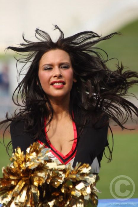 Klicken für Bild in voller Größe