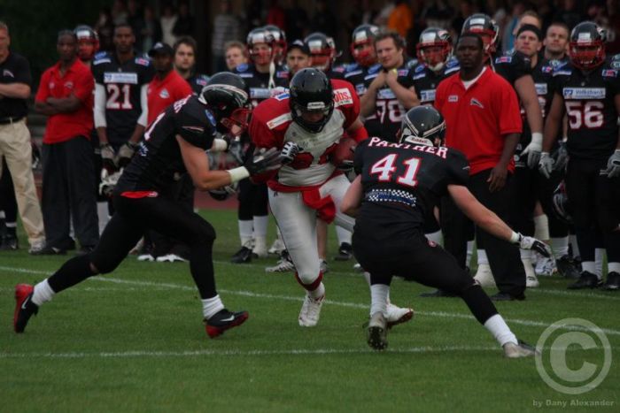 Klicken für Bild in voller Größe