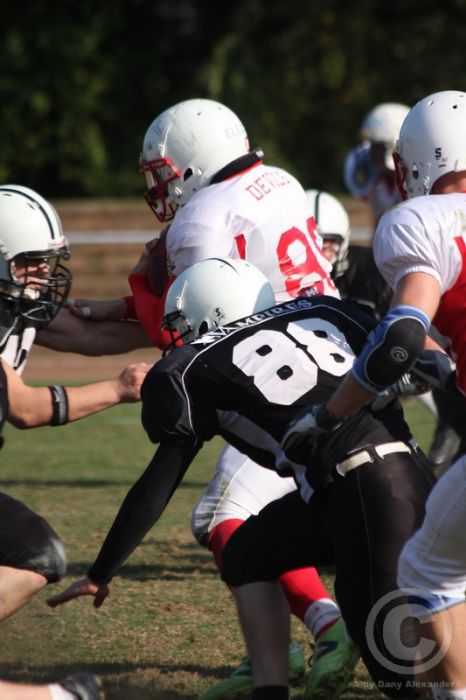 Klicken für Bild in voller Größe