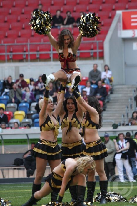 Klicken für Bild in voller Größe