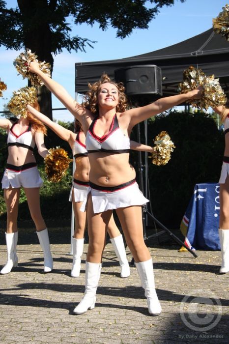 Klicken für Bild in voller Größe