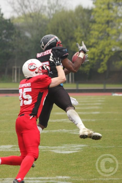 Klicken für Bild in voller Größe