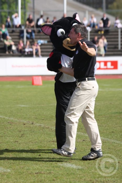 Klicken für Bild in voller Größe