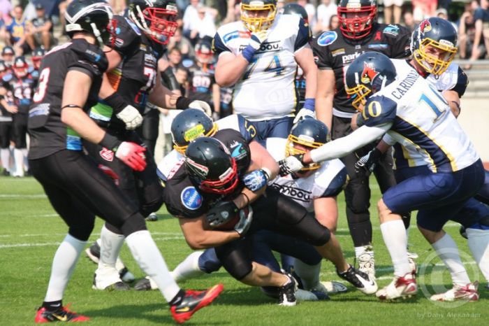 Klicken für Bild in voller Größe