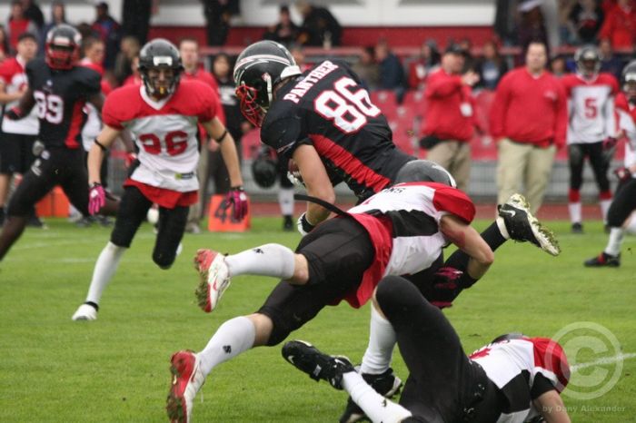 Klicken für Bild in voller Größe