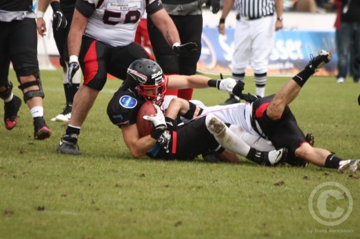 Klicken für Bild in voller Größe