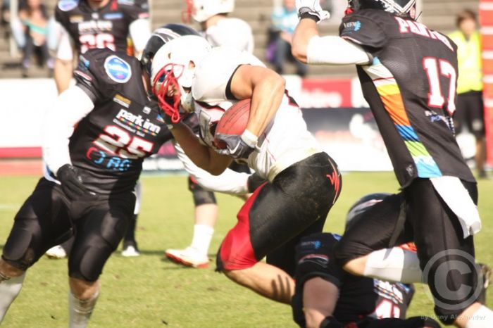 Klicken für Bild in voller Größe