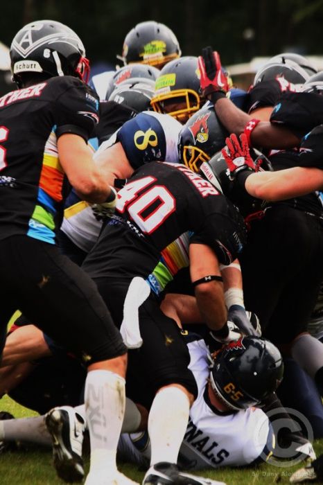 Klicken für Bild in voller Größe