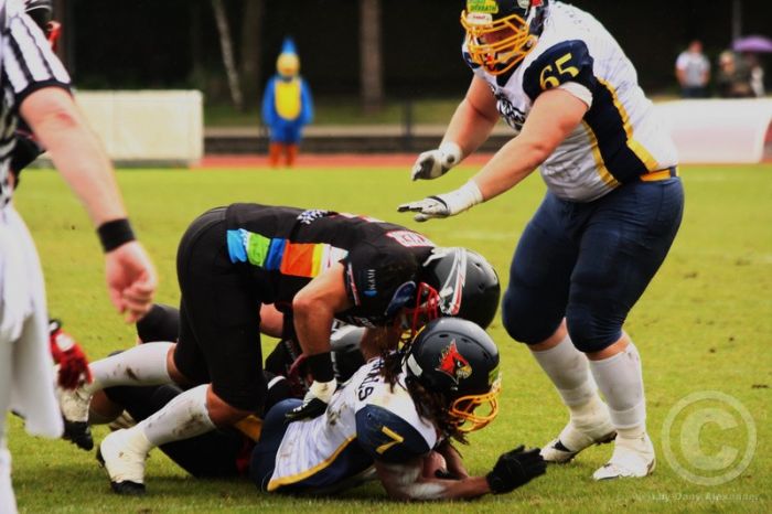 Klicken für Bild in voller Größe