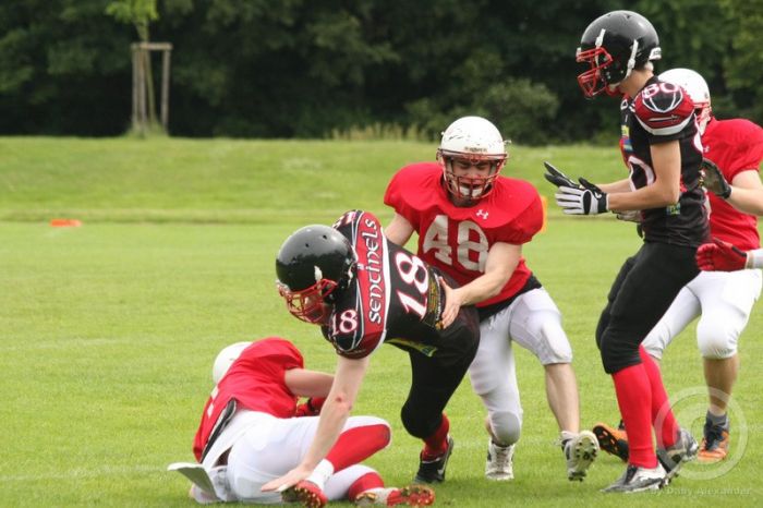 Klicken für Bild in voller Größe