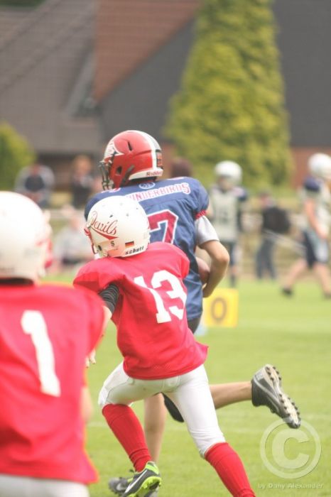 Klicken für Bild in voller Größe