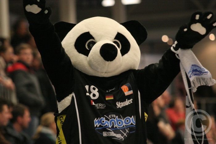 Klicken für Bild in voller Größe