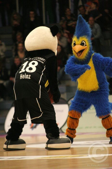 Klicken für Bild in voller Größe