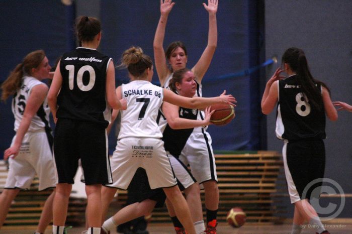 Klicken für Bild in voller Größe