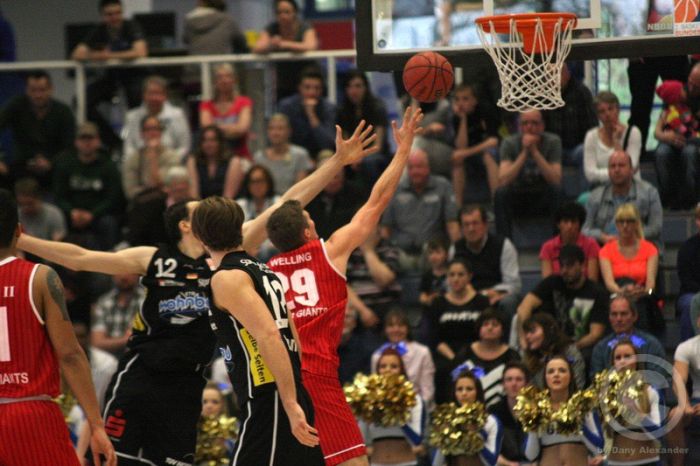 Klicken für Bild in voller Größe