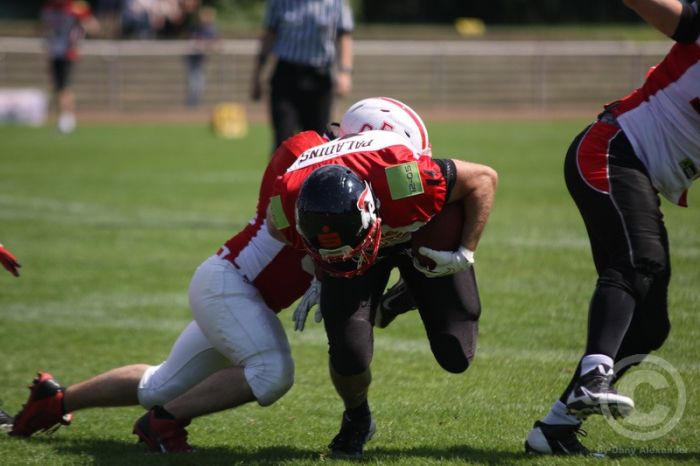 Klicken für Bild in voller Größe