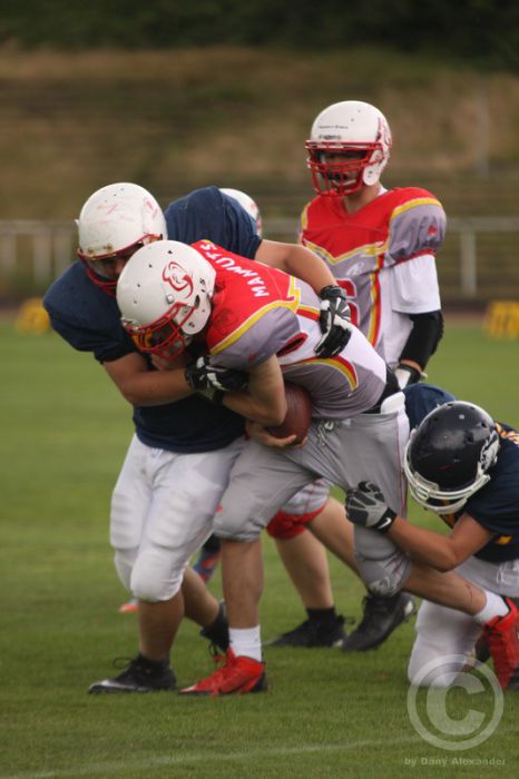 Klicken für Bild in voller Größe