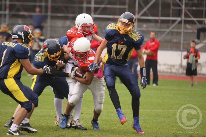 Klicken für Bild in voller Größe