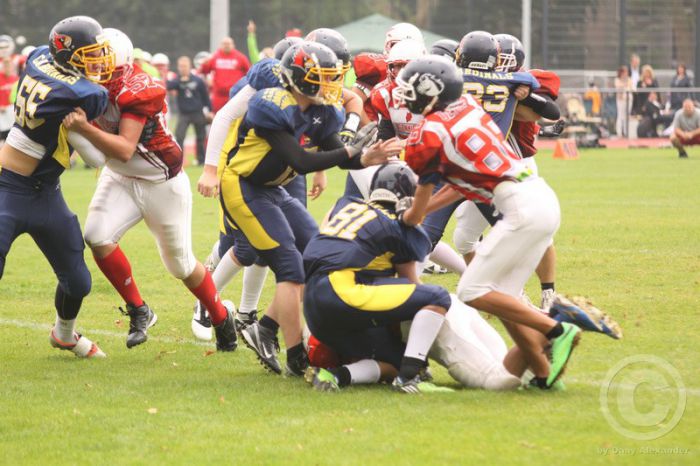 Klicken für Bild in voller Größe