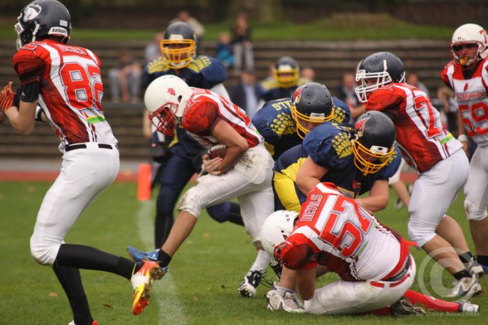 Klicken für Bild in voller Größe