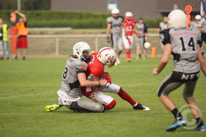 Klicken für Bild in voller Größe