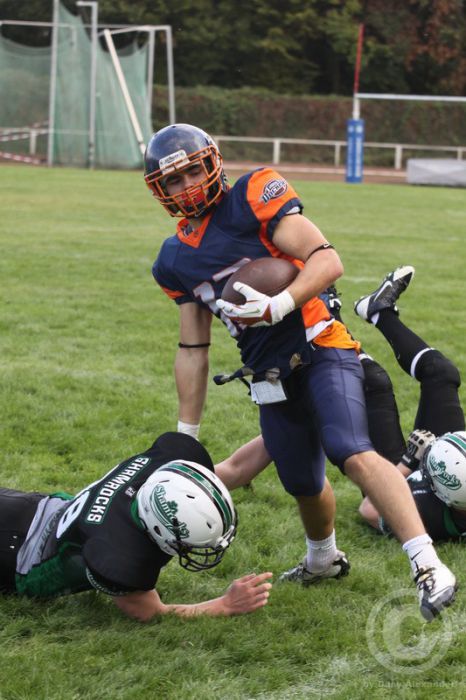 Klicken für Bild in voller Größe