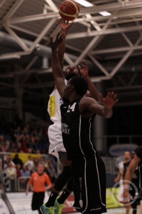 Klicken für Bild in voller Größe