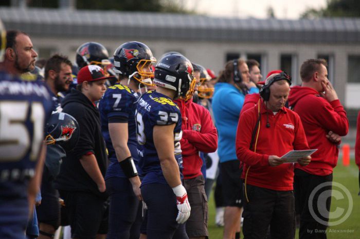 Klicken für Bild in voller Größe