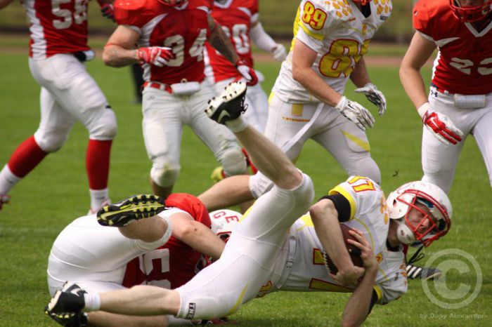 Klicken für Bild in voller Größe