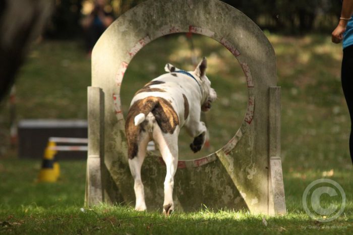 Klicken für Bild in voller Größe