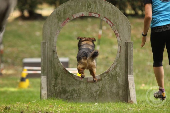 Klicken für Bild in voller Größe