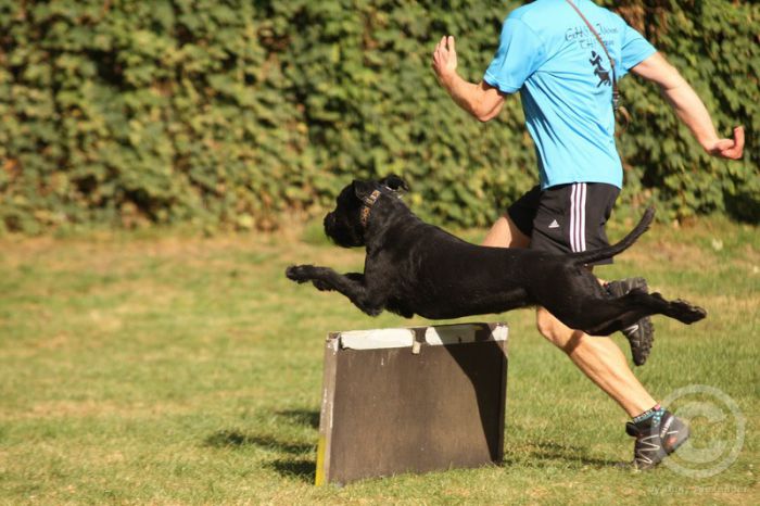 Klicken für Bild in voller Größe