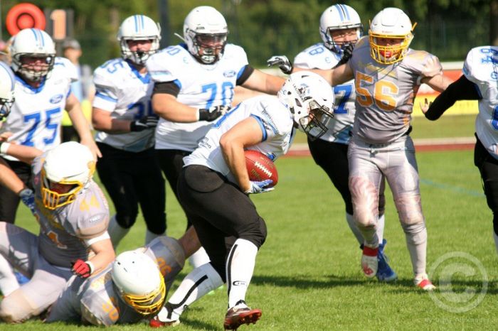 Klicken für Bild in voller Größe