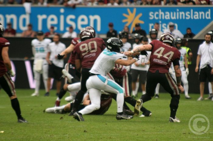 Klicken für Bild in voller Größe