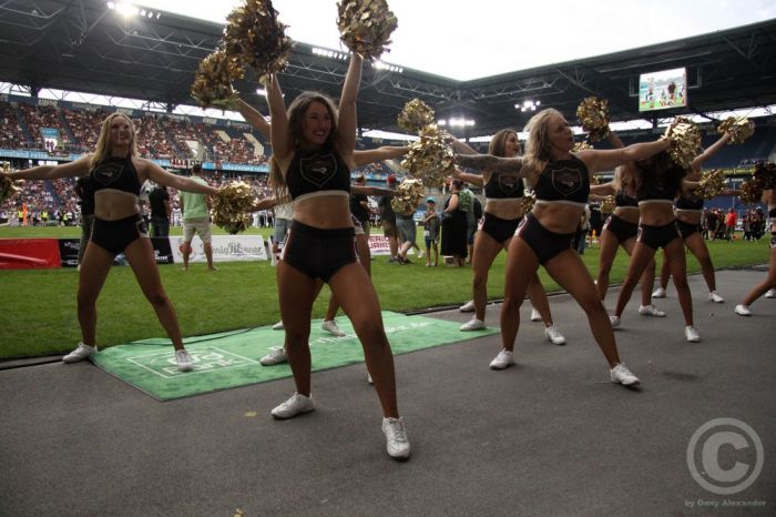 Klicken für Bild in voller Größe